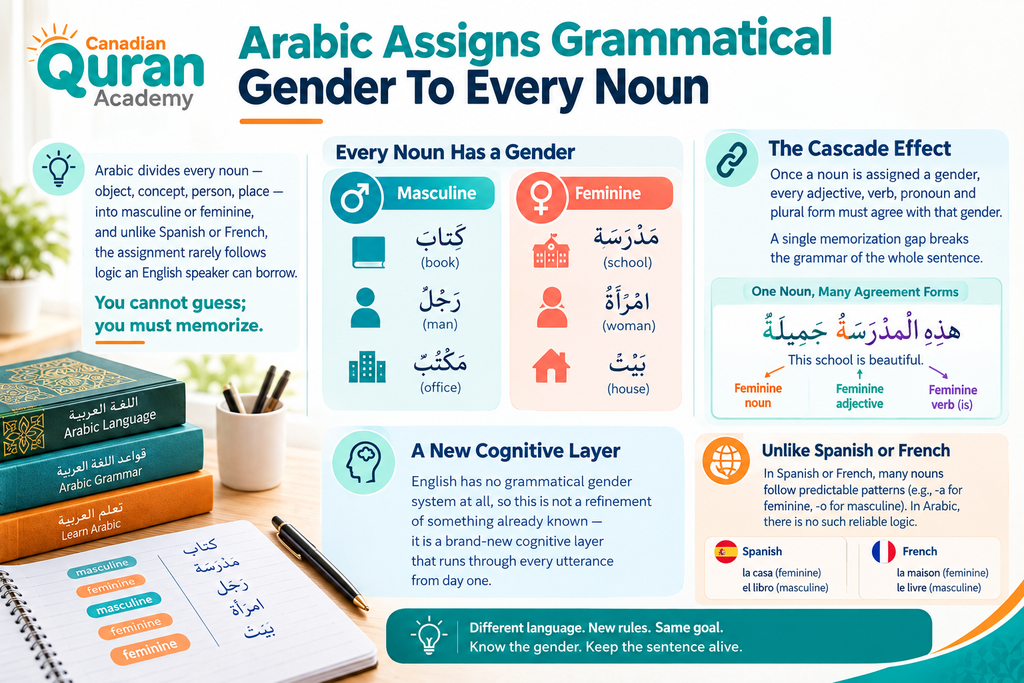 Is Arabic A Difficult Language To Learn? 11 image 10