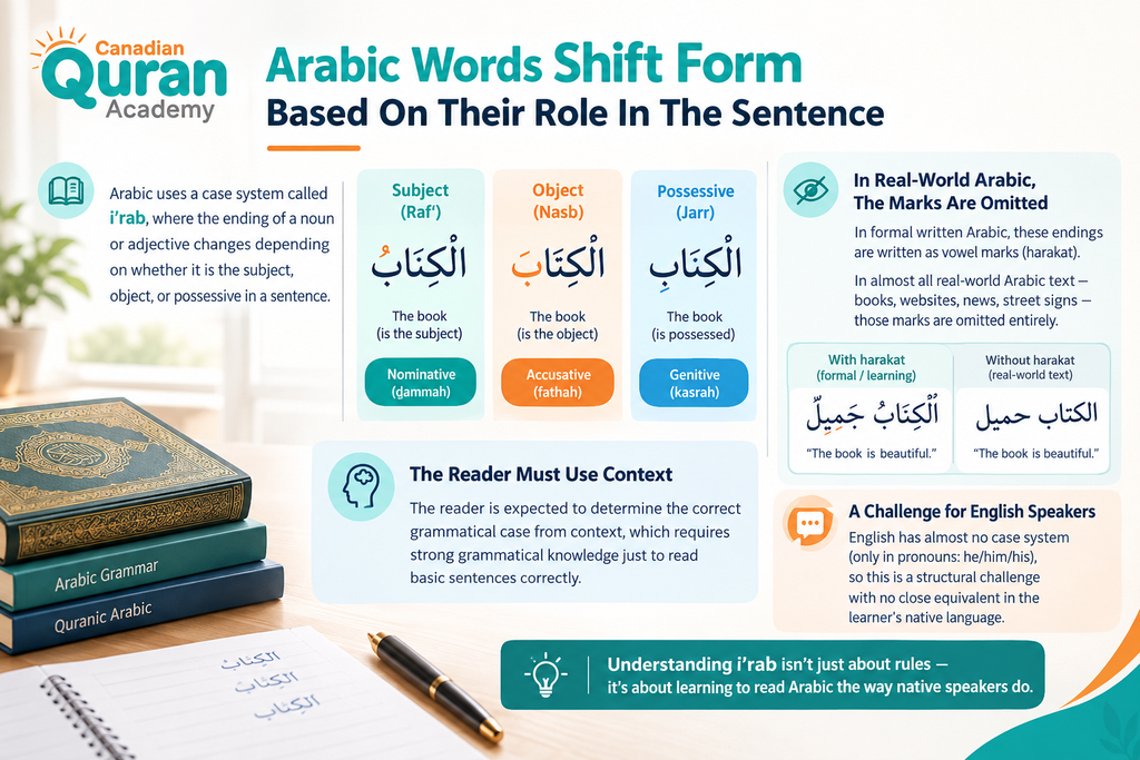 Is Arabic A Difficult Language To Learn? 12 image 11