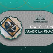 How to Learn Arabic Language