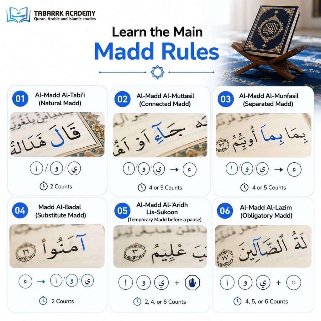 In What Order Should I Learn Tajweed Rules? A Learning Path for Beginners 4 Should I Learn Tajweed Rules