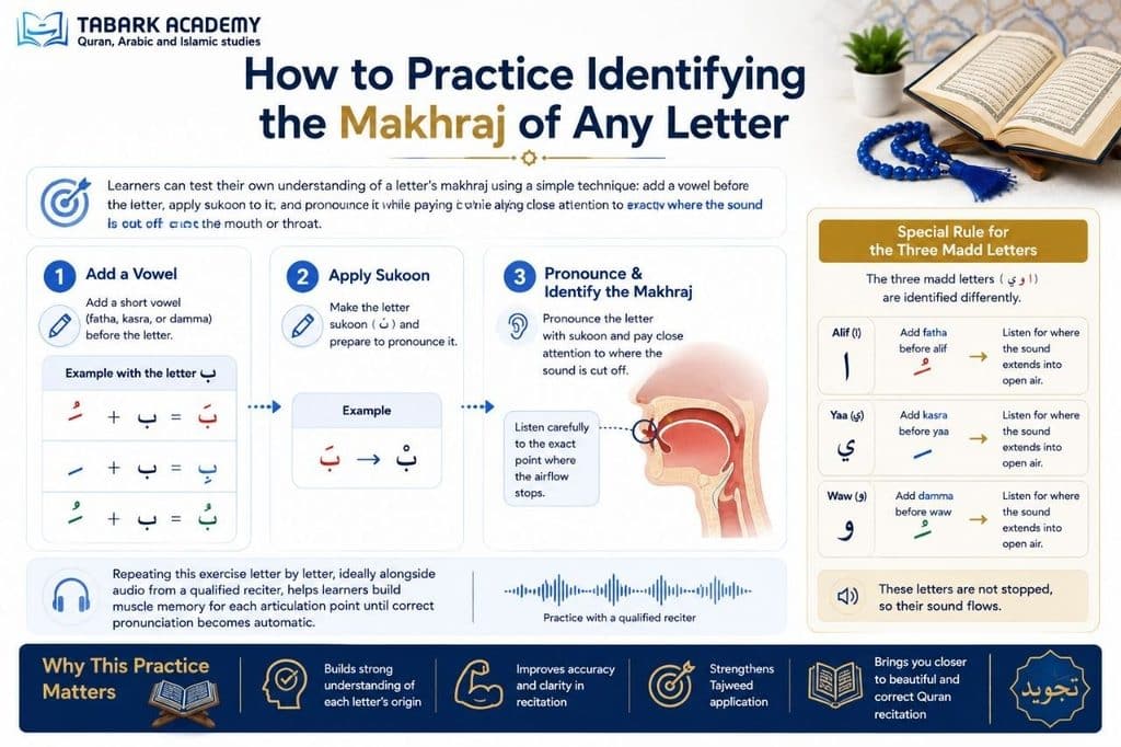 What Are the Makharij of the Arabic Letters? A Complete Guide 6 the Makharij of the Arabic Letters